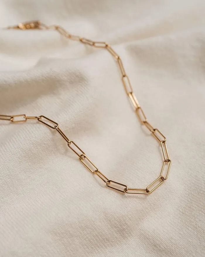 WellDunn Necklaces Clippy Gold Necklace