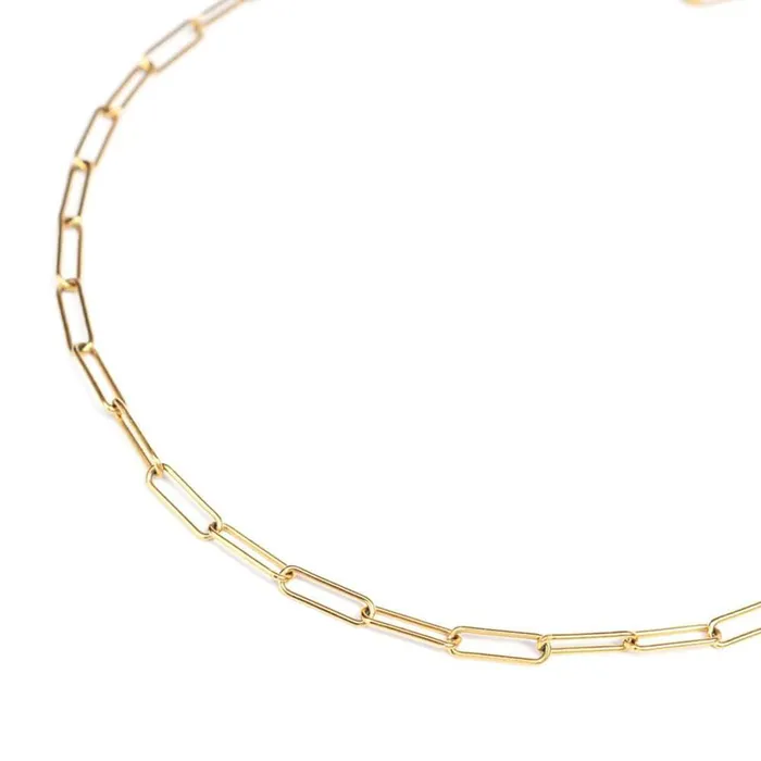 WellDunn Necklaces Clippy Gold Necklace