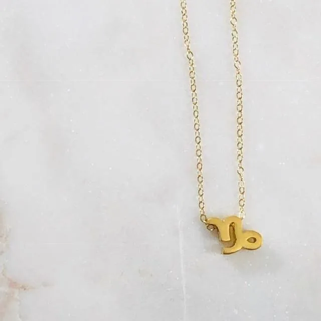 Necklaces Capricorn Charm Necklace with Crystal Sarah Belle