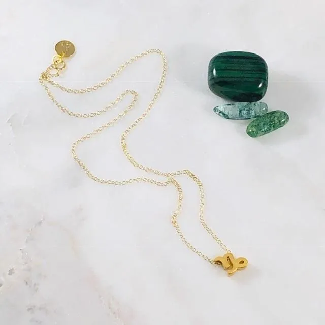 Necklaces Capricorn Charm Necklace with Crystal Sarah Belle