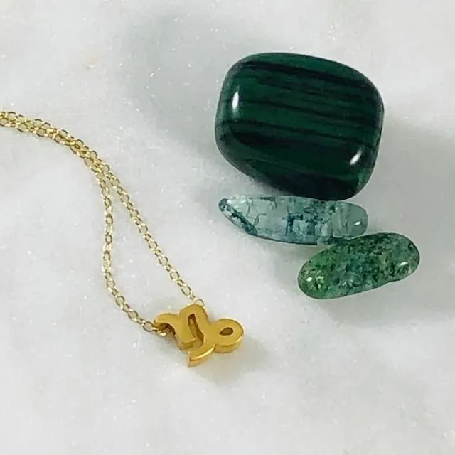 Necklaces Capricorn Charm Necklace with Crystal Sarah Belle