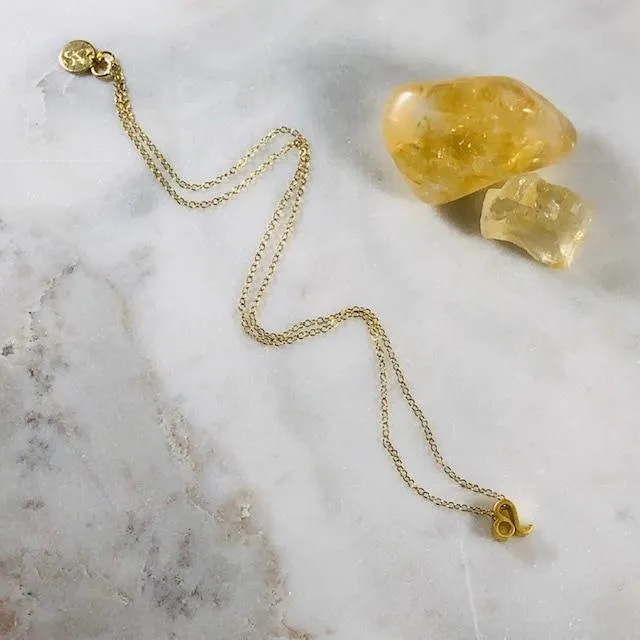 Sarah Belle Necklaces Leo Charm Necklace with Crystal